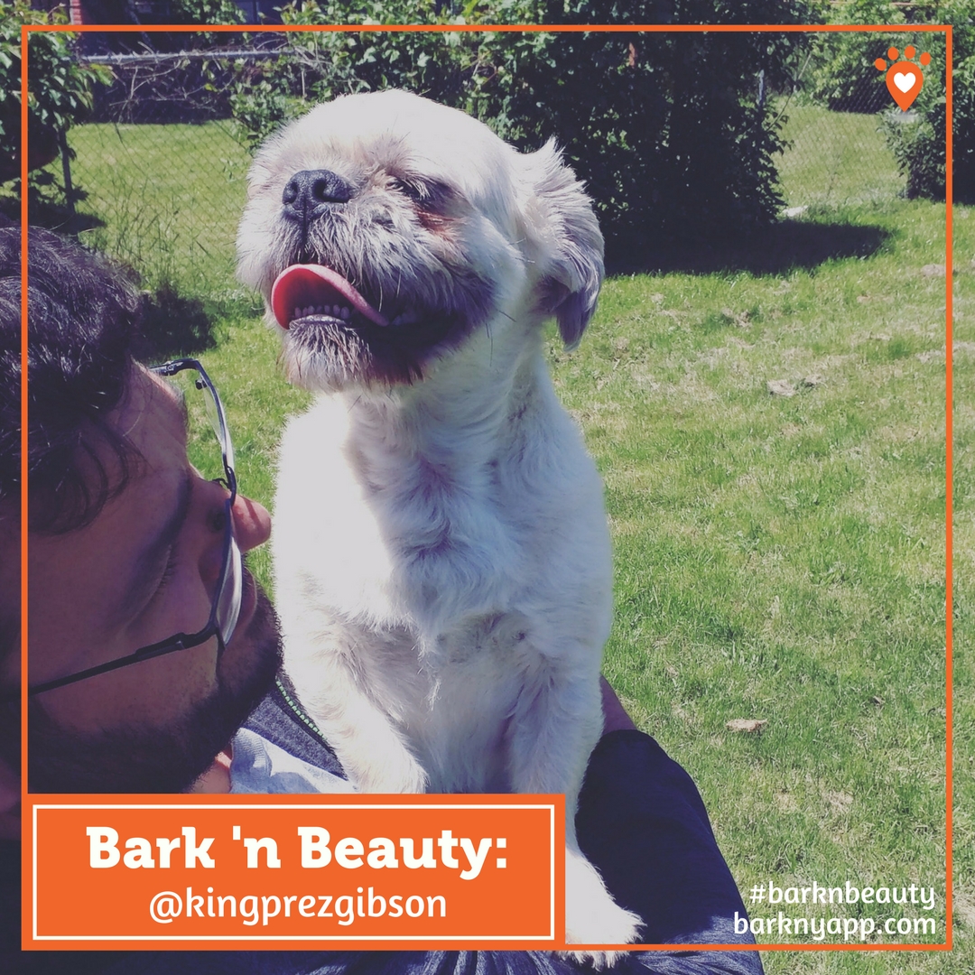 Bark ‘n Beauty- (2)