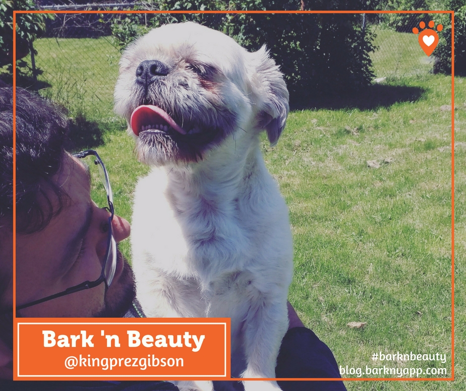 Bark ‘n Beauty FB (1)