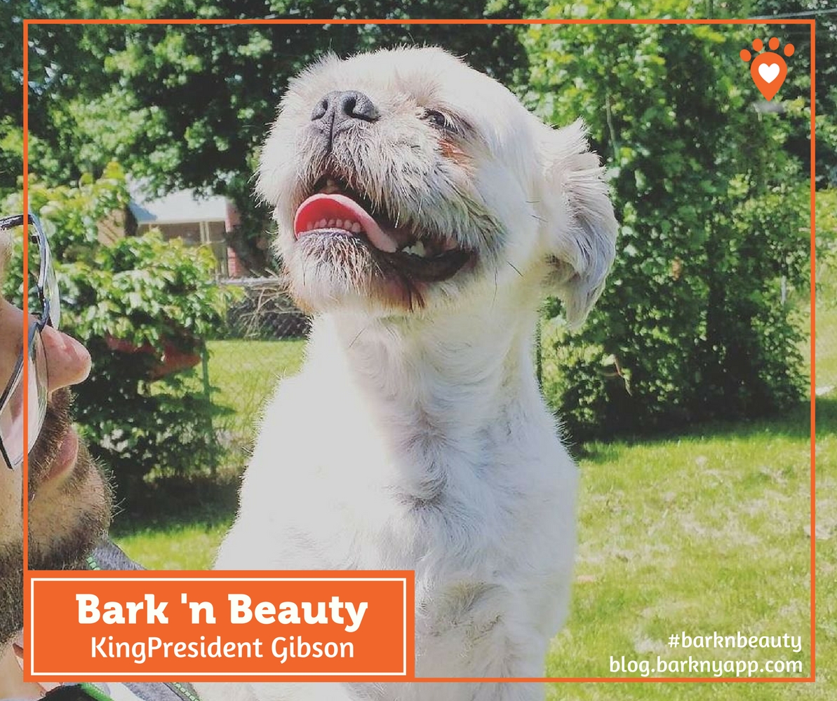 Bark ‘n Beauty FB (4)