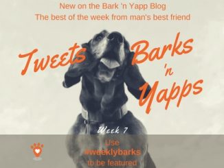 yapps week 7