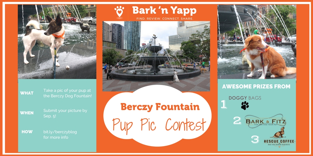 Berczy Pup Pic Contest Sponsors – TW