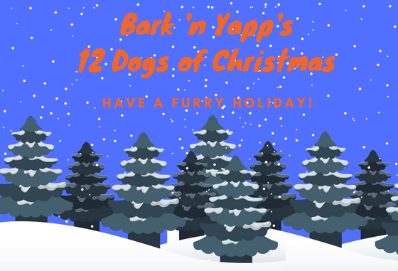 Bark 'n Yapp's 12 Dogs of Christmas