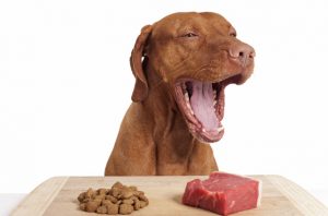 raw-food-diet-for-dogs